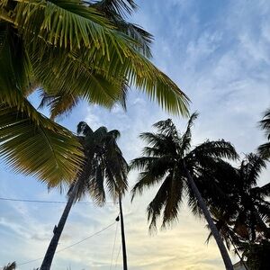 Meet your Posher, Emerie